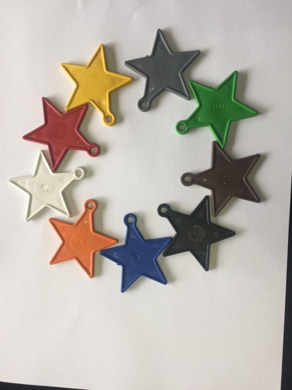 STAR AM - Imagem 4